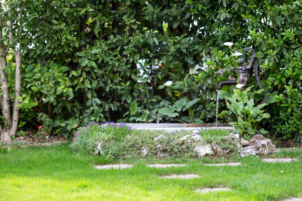 B&B Arco Di Pietra Quinto Di Treviso Εξωτερικό φωτογραφία